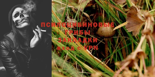 спайс Беломорск