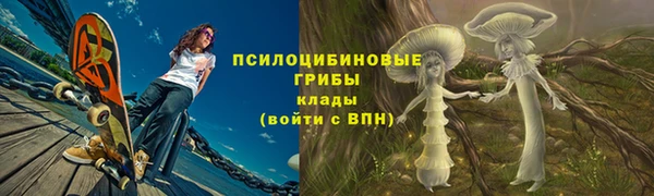 гидропоника Белокуриха