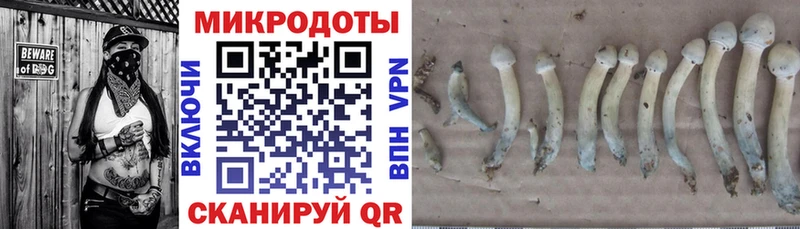 Псилоцибиновые грибы мухоморы где купить наркоту Козловка