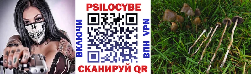 Псилоцибиновые грибы ЛСД Козловка
