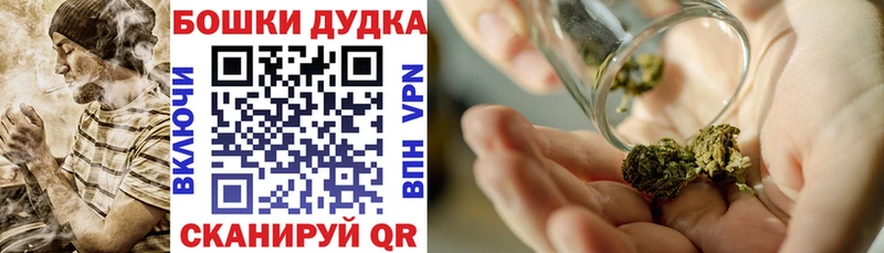 продажа наркотиков  дарк нет как зайти  Канабис индика  Козловка 